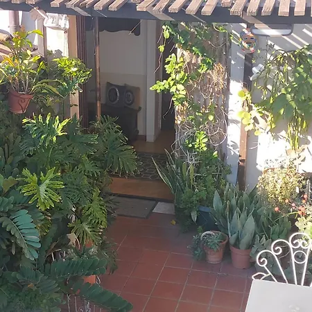 Crociferi B&B-2