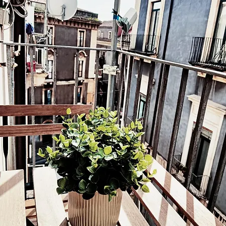 Domus Coppola Catania Apartments-2